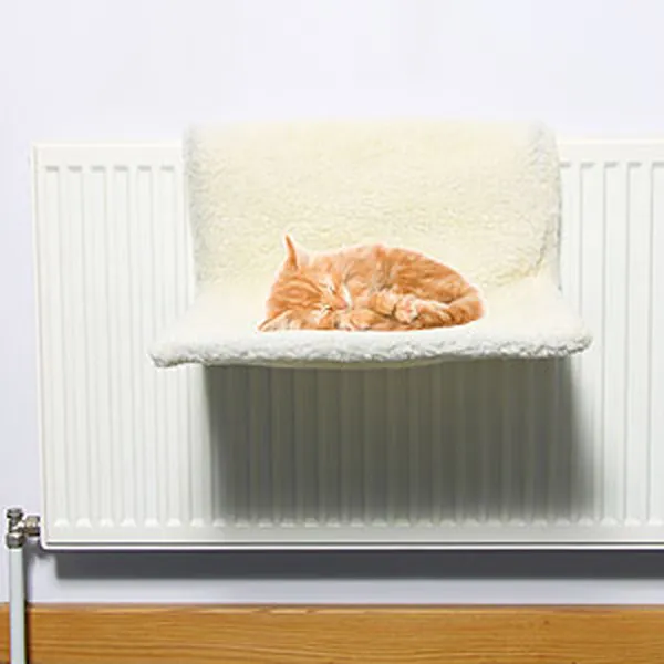 Cat radiator outlet bed home bargains