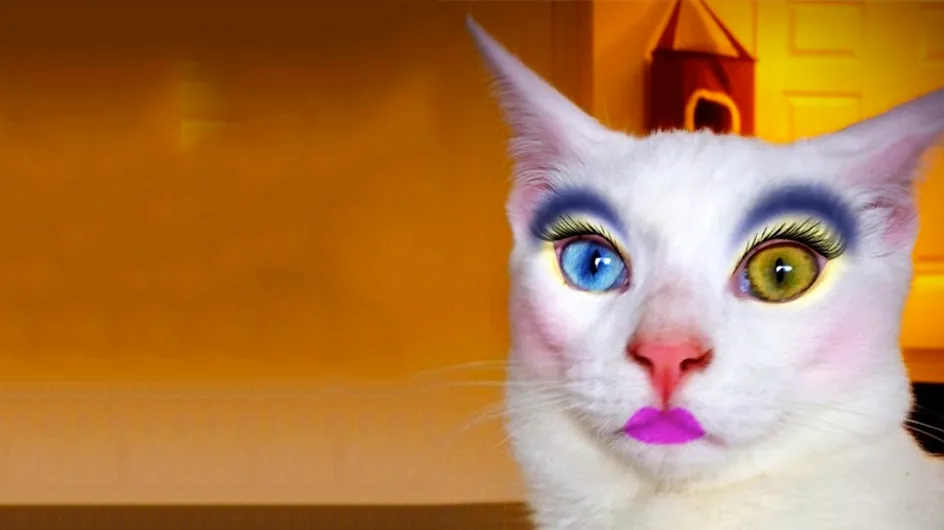 Así es la última moda que arrasa en Japón: gatos maquillados