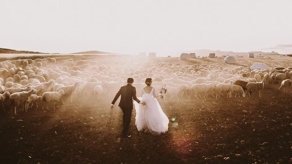 Fotógrafos de boda: tu historia de amor a golpe clic