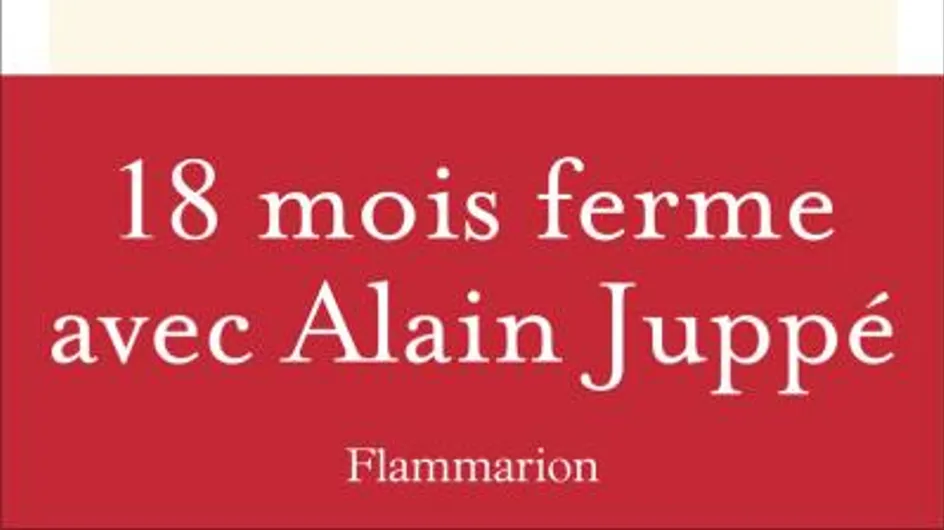 "Lapins et Merveilles", l'enquête de Gael Tchakaloff sur Alain Juppé