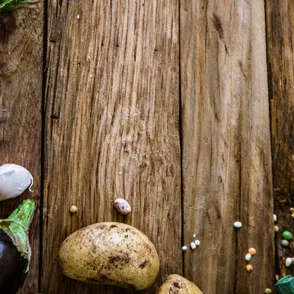Cocina biológica: comer rico y saludable es muy fácil