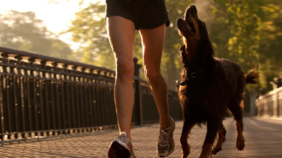 ¡Ellos te echan una pata! 8 increíbles beneficios de tener mascota