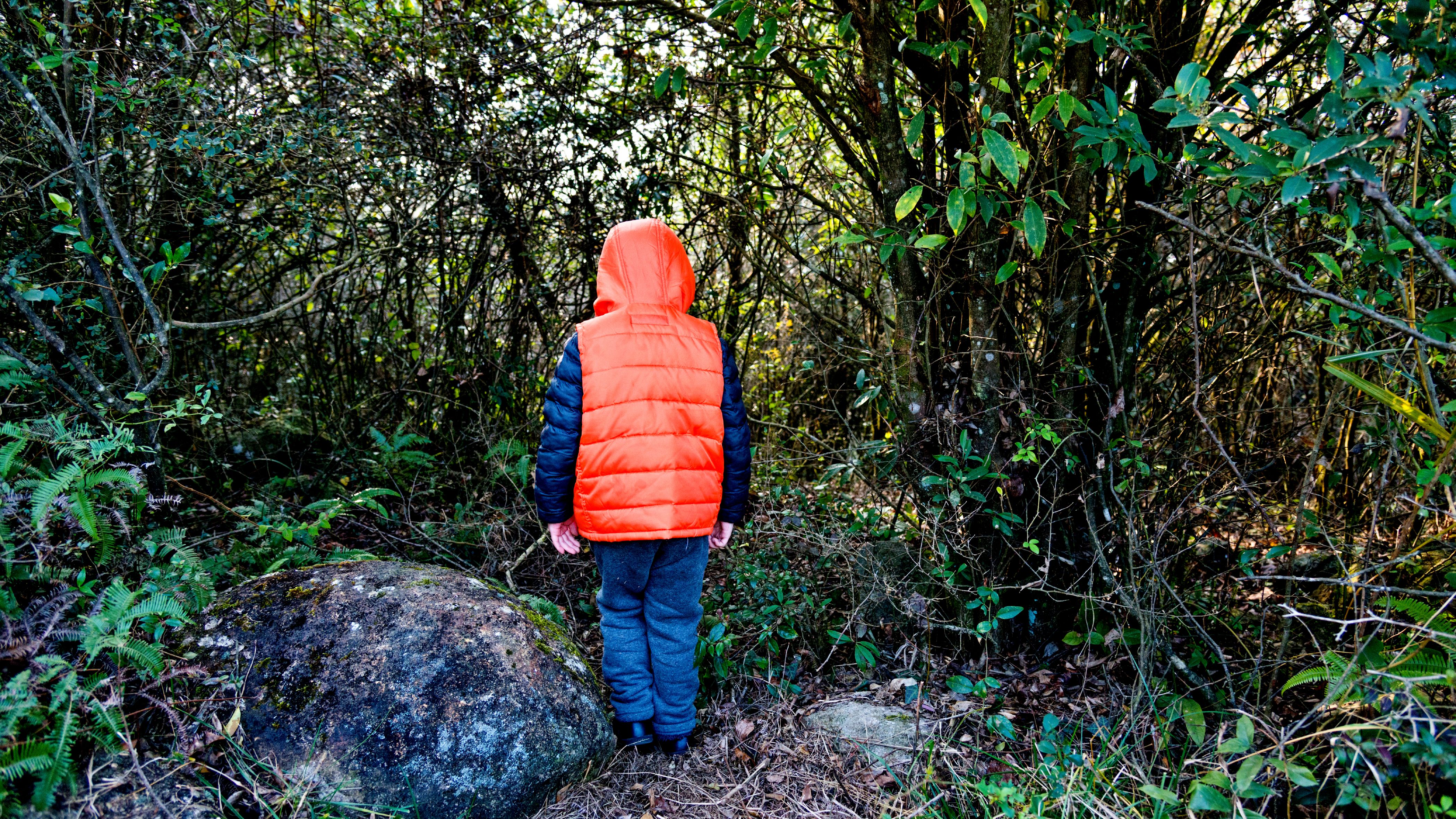 Le Petit Garcon Abandonne Dans La Foret Par Ses Parents Retrouve