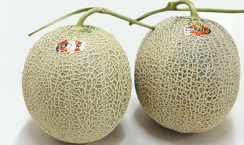Yubari King melon