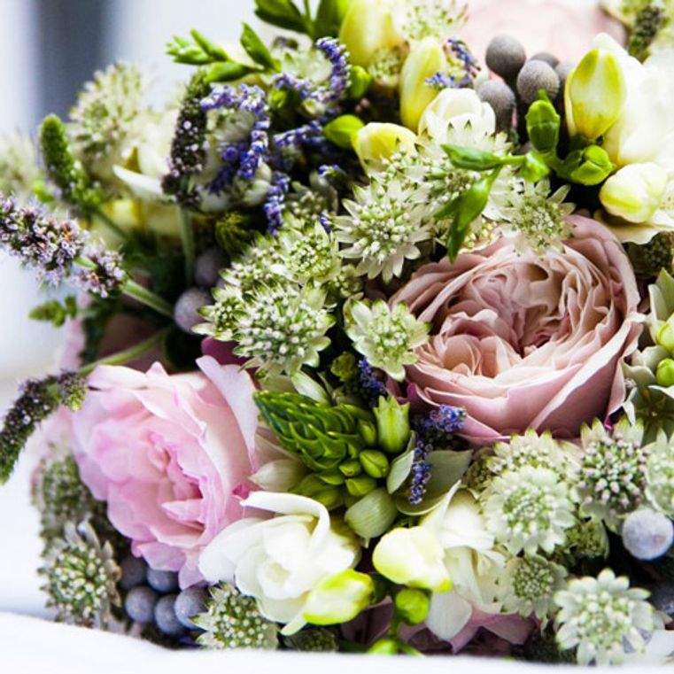 flores de bach para adelgazar foro tv