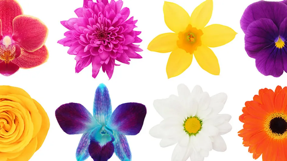 Você sabe identificar as flores da nossa lista?
