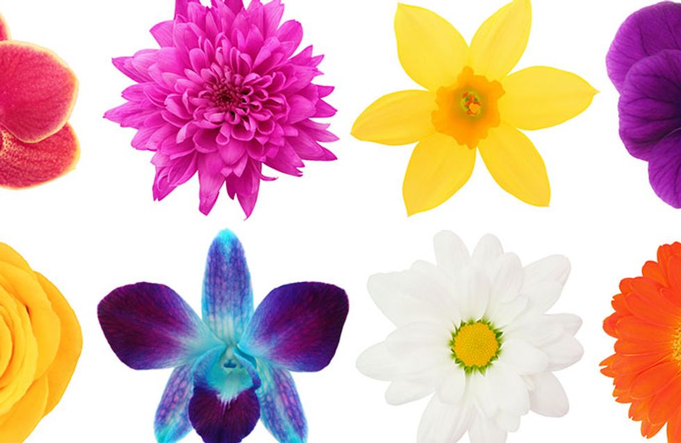 Você sabe identificar as flores da nossa lista?