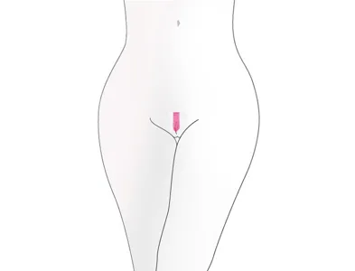 Depilación íntima o vaginal: los looks más comunes