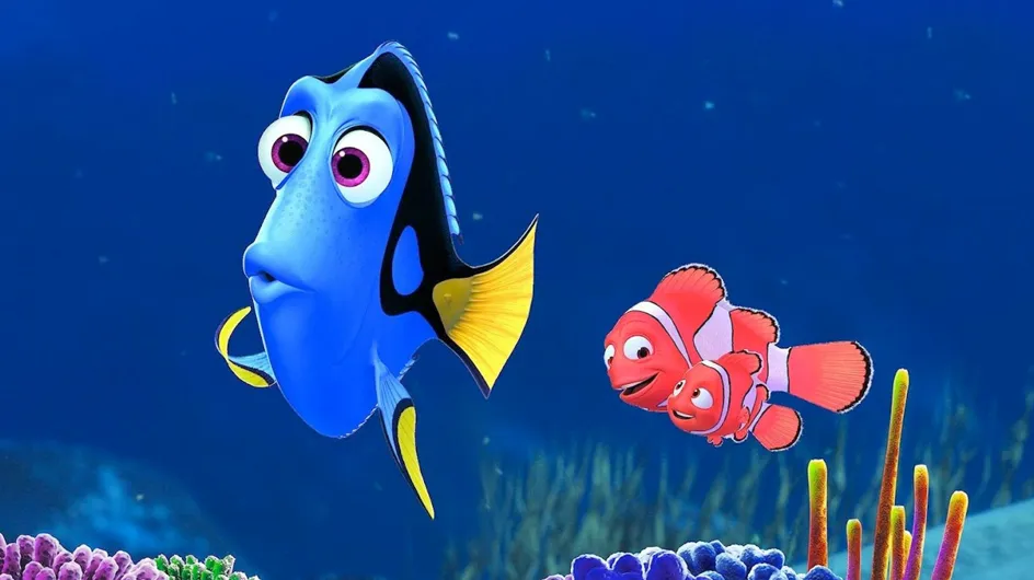QUIZ: Who Are You - Nemo Or Dory?