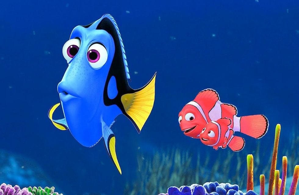 QUIZ: Who Are You - Nemo Or Dory?