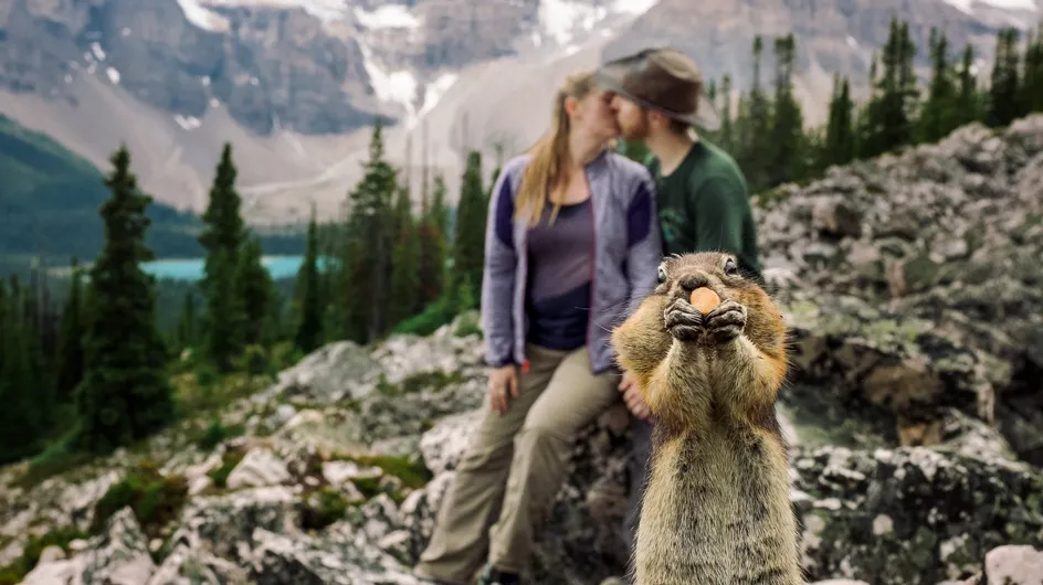 Tierisches Photobomb: Dieses Paar hat bei seinem Verlobungsfoto unerwarteten Besuch