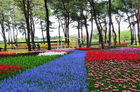 Parque Hitachi Seaside