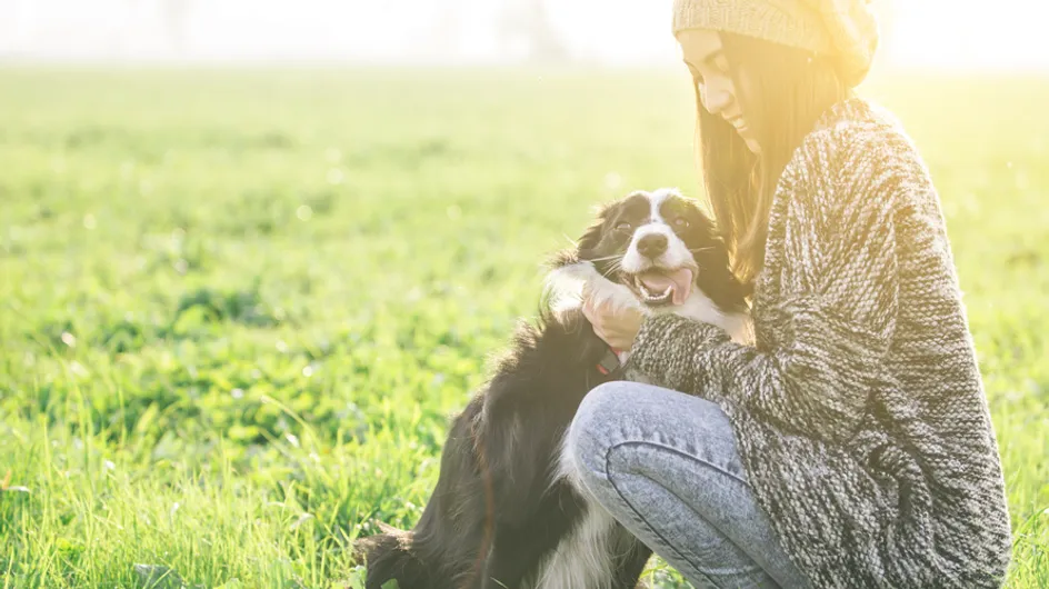​30 imágenes de perros ya adultos siendo adoptados que encogerán tu corazón