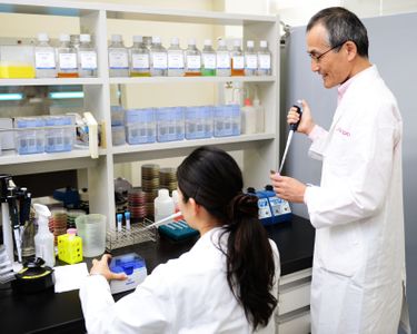 Laboratorios Shisedio