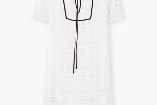Spitzenkleid von Mango, 59,99 €