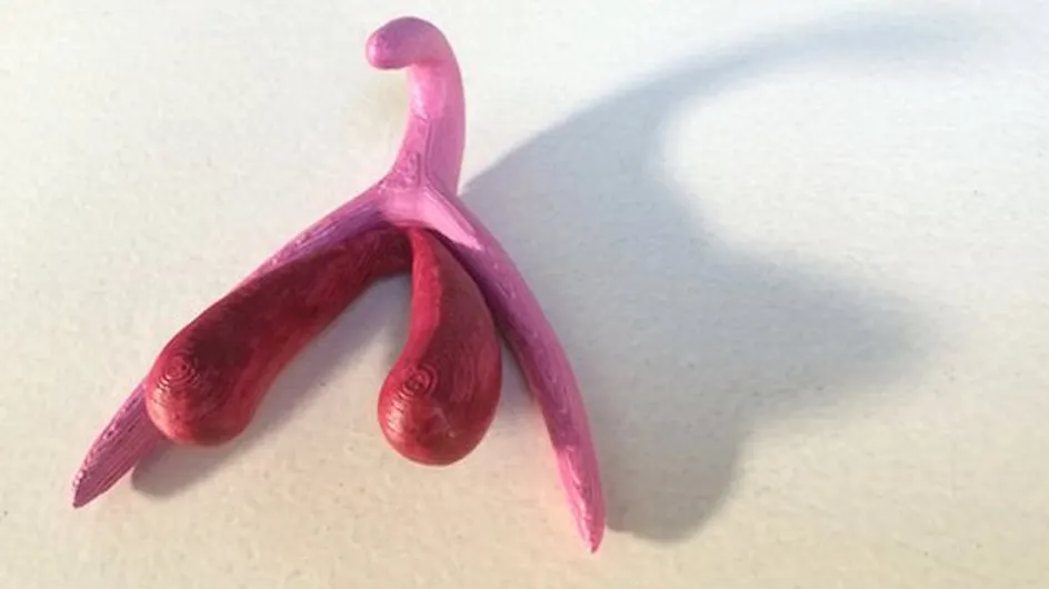 Mais quel est donc ce clitoris en 3D dont tout le monde parle ?