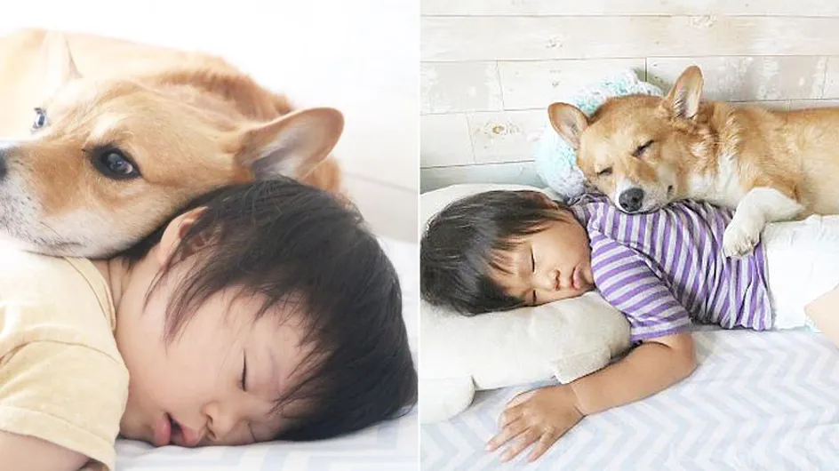 Tierisch beste Freunde: Für diesen 2-Jährigen ist ein Leben ohne seinen Vierbeiner unvorstellbar