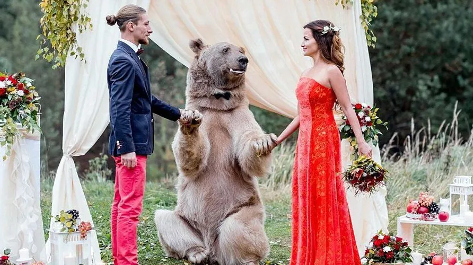 ¡Inexplicable! Un oso es testigo de una boda