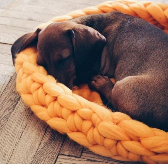 Stricken lernen: Oversize Hundekörbchen