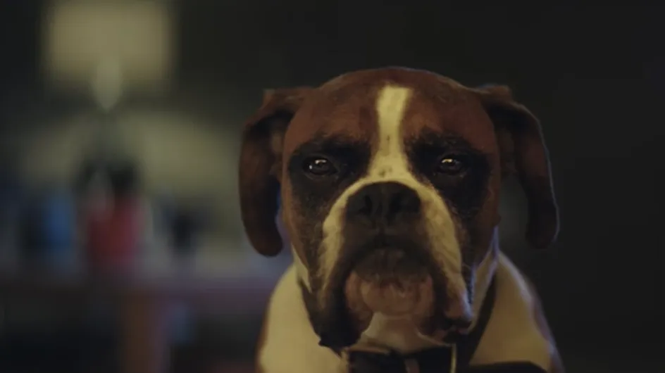 WATCH: The John Lewis Christmas Ad Is Here, Which Means It's Finally Christmas