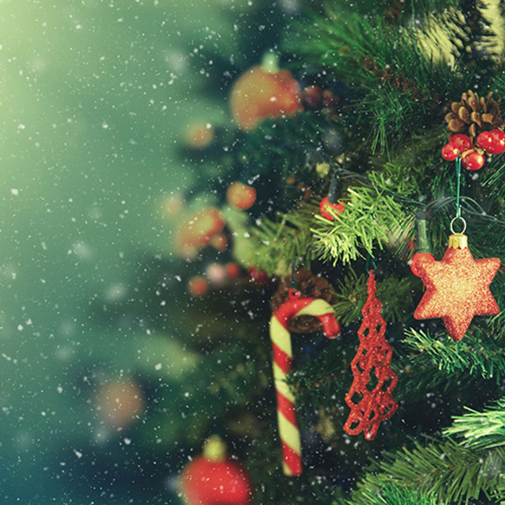 Como montar a árvore de Natal? Veja dicas INCRÍVEIS!