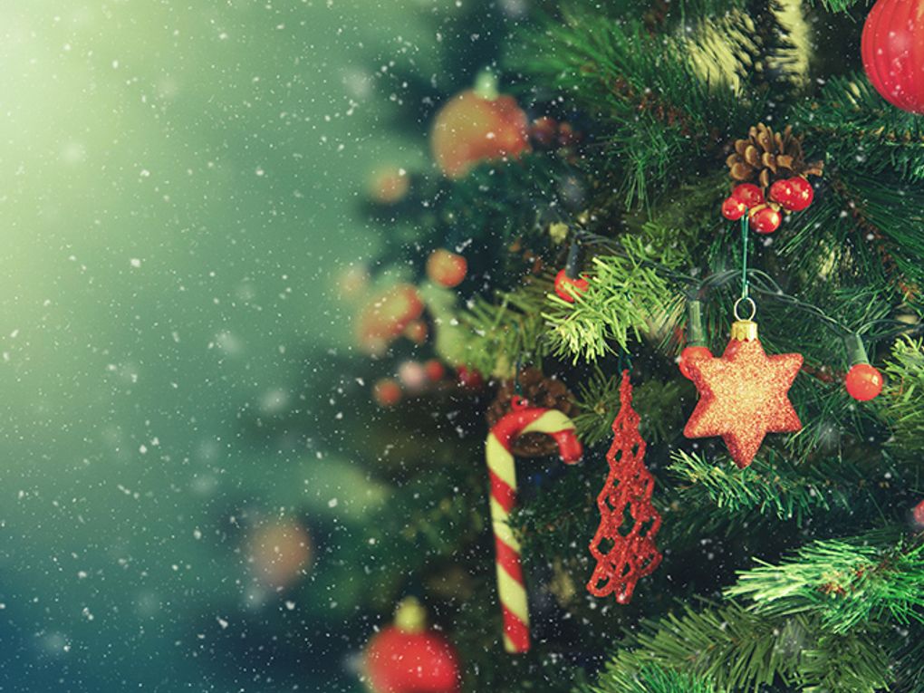 Como montar a árvore de Natal? Veja dicas INCRÍVEIS!