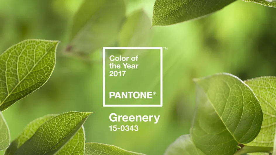 On se laisse inspirer par Greenery, la couleur Pantone de l'année 2017