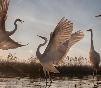 Paisajes bonitos: los 30 lugares más increíbles del mundo