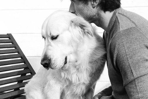 Herry (Andrés Velencoso)