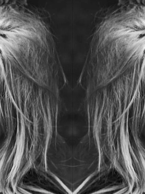Should I Get A Fringe? All Your Questions Answered!