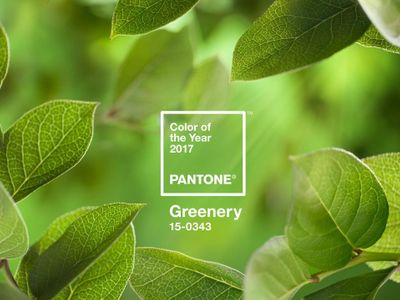 Greenery ist die Farbe des Jahres 2017