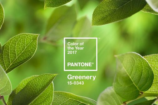 Greenery ist die Farbe des Jahres 2017