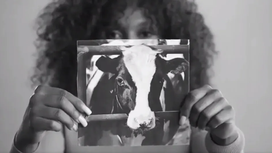 Comparer l'insémination des vaches à des femmes violées ... la nouvelle campagne choc de la PETA (Vidéo)