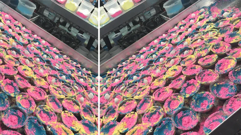 9 Things You Never Knew About The Lush Factory