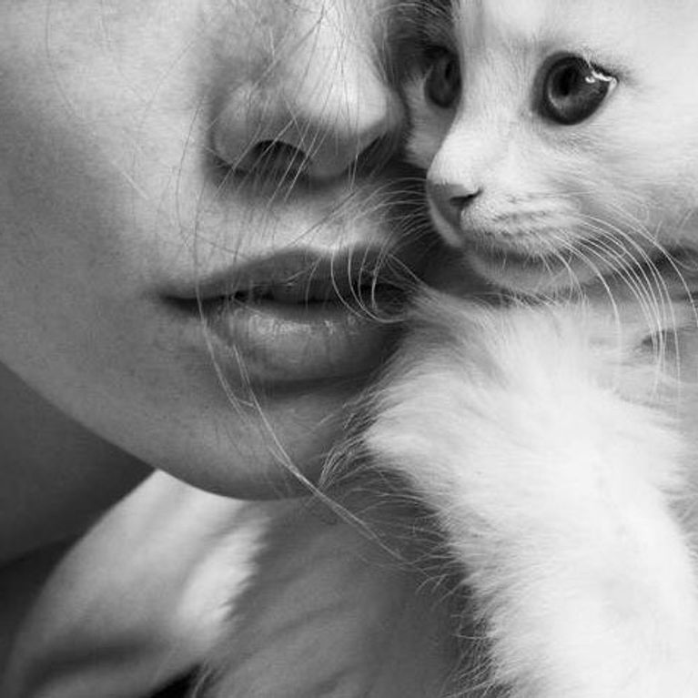 You Can Now Get A Perfume That Makes You Smell Like Cat Fur