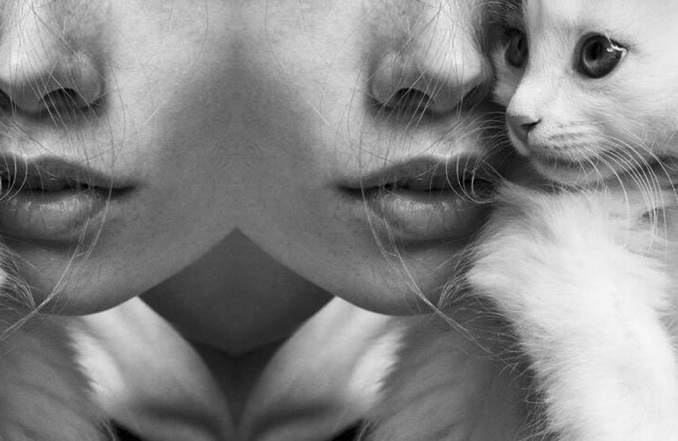 You Can Now Get A Perfume That Makes You Smell Like Cat Fur