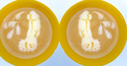 Penis Lattes Are Here To Give Morning Glory A Whole New Meaning