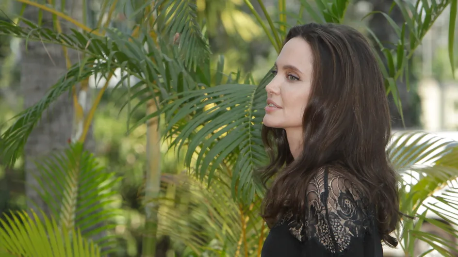 La última de Angelina Jolie: despedir a su propio hermano