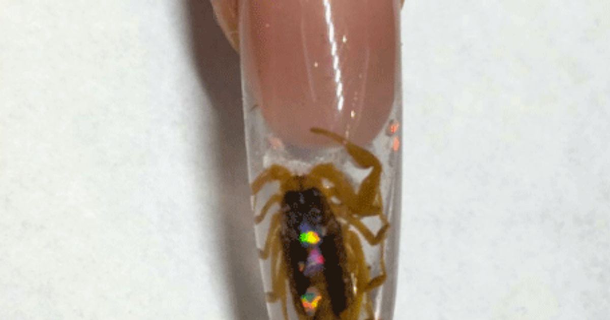Women Are Now Having Scorpion Manicures And We're Freaking Out