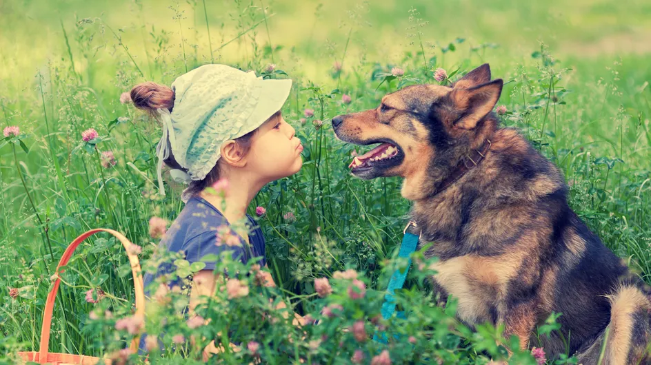 10 razones por las que tu hijo debería crecer con una mascota
