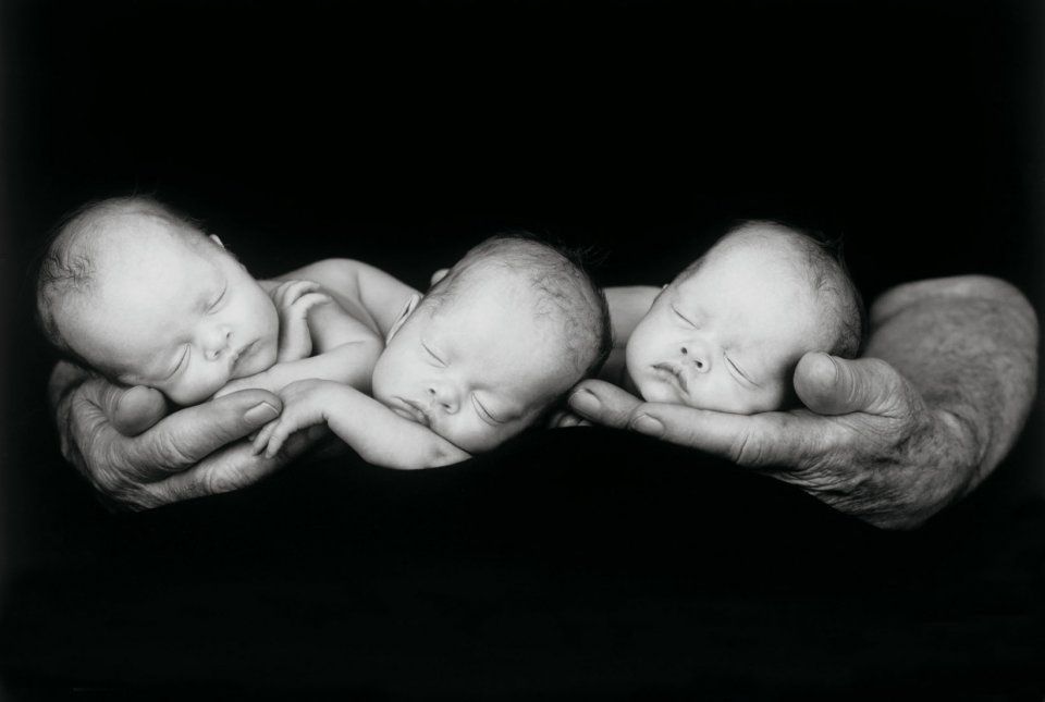 Les Plus Mignons Cliches D Anne Geddes Photos