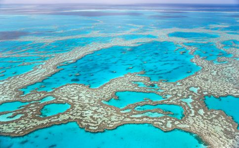 La Gran Barrera de Coral