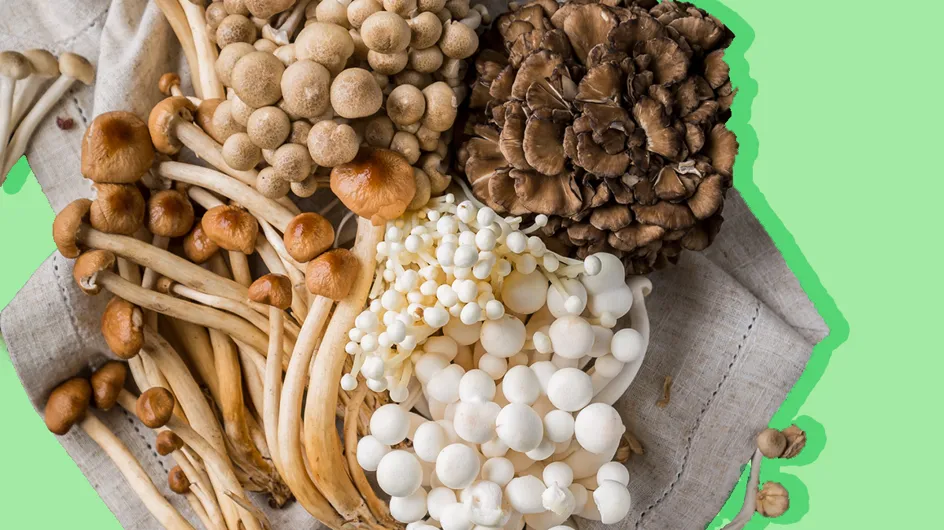 Os surpreendentes benefícios dos cogumelos