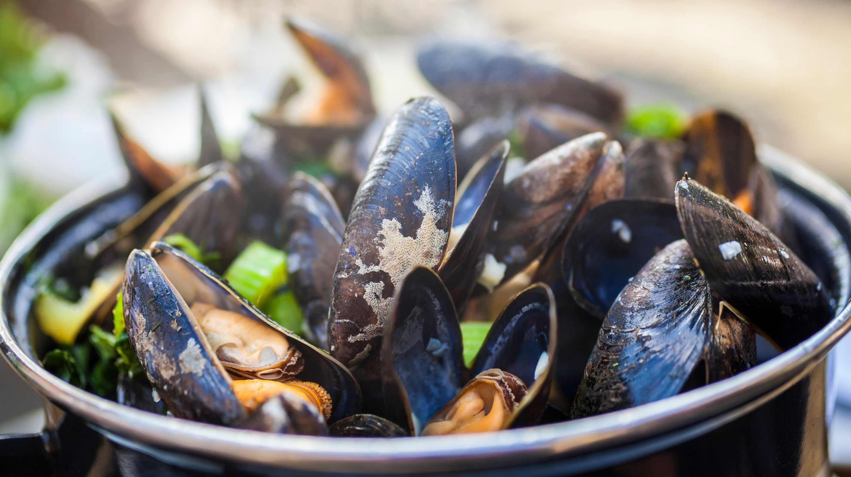 Mytiliculture la filière des moules françaises — free download