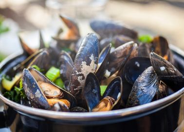 Mytiliculture La Filiere Des Moules Francaises