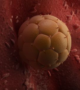 Alcool Et Grossesse La Tres Mauvaise Equation