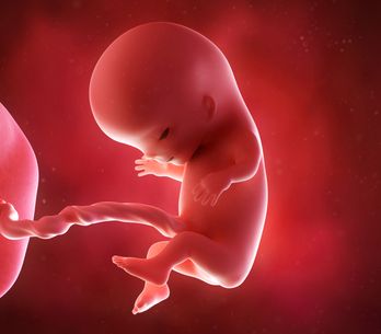 9eme Semaine De Grossesse 11 Sa Cote Bebe Et Maman 3eme Mois