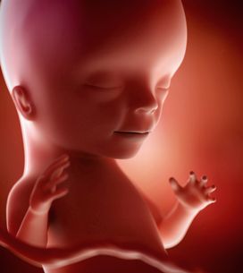 16eme Semaine De Grossesse 18 Sa Cote Bebe Et Maman 4eme Mois