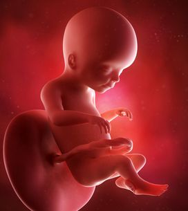 Ce Bebe Ne A 22 Semaines Est Enfin Rentre Chez Lui Apres Pres De 5 Mois D Hospitalisation