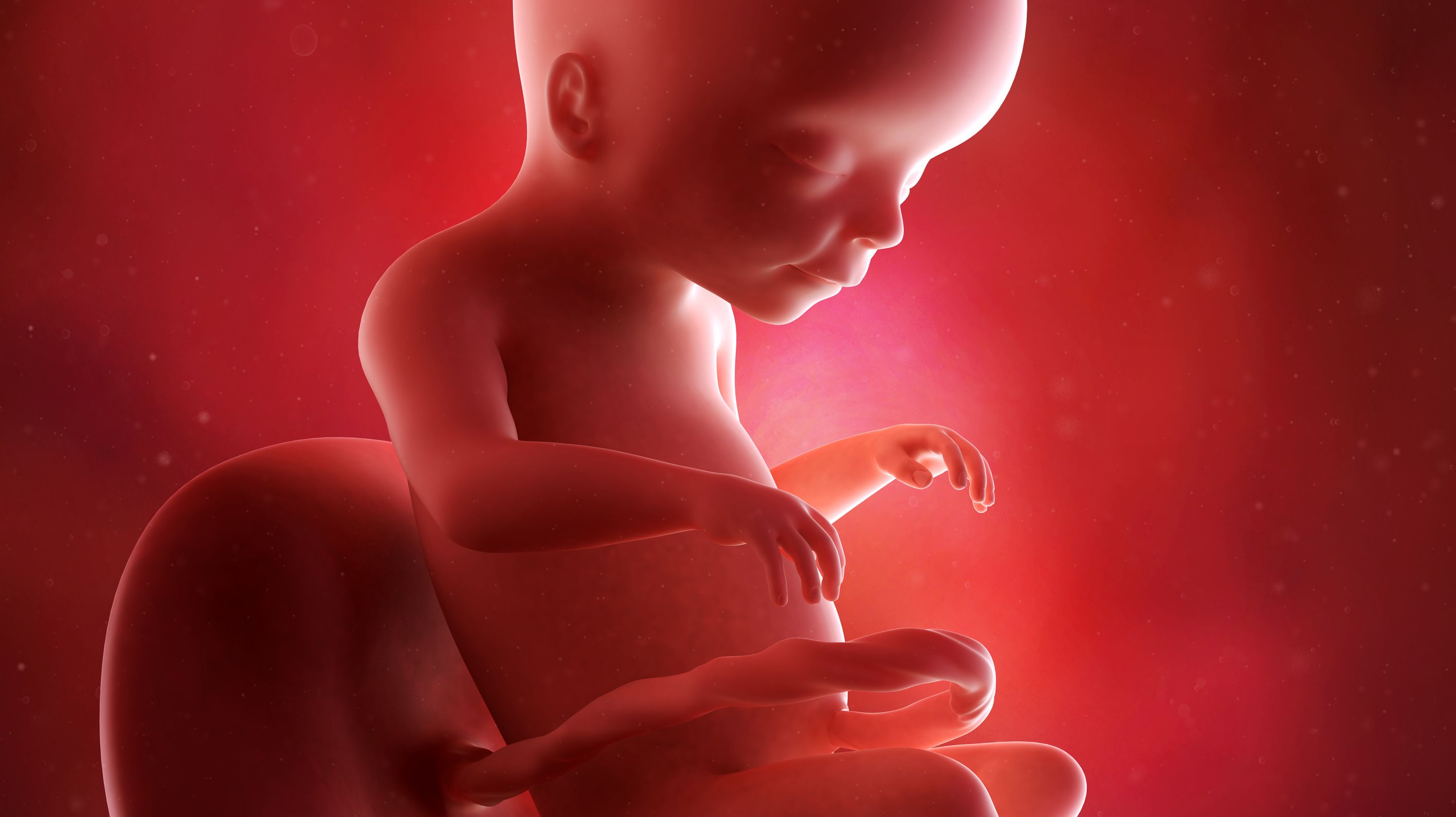 Faire L'amour Tous Les Jours Grossesse Forum 20ème semaine de grossesse (22 SA) côté bébé et maman - 5ème mois